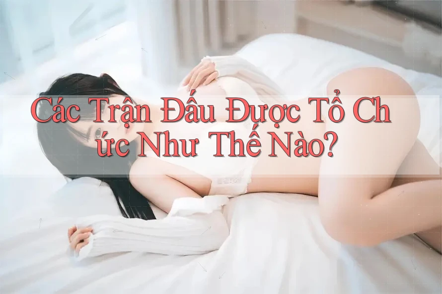 Các Trận Đấu Được Tổ Chức Như Thế Nào? Các Trận Đấu Được Tổ Chức Như Thế Nào?