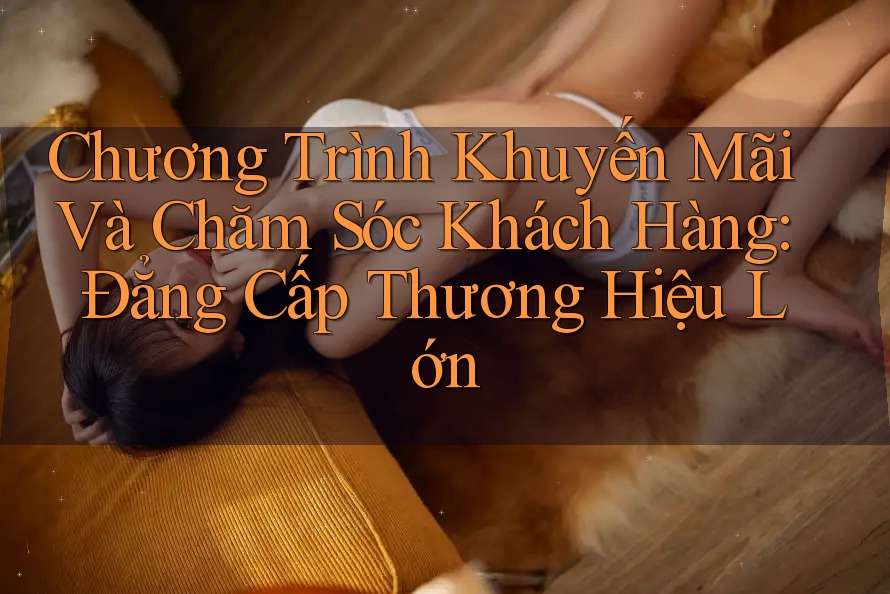 Chương Trình Khuyến Mãi Và Chăm Sóc Khách Hàng: Đẳng Cấp Thương Hiệu Lớn