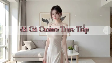 đá gà Casino trực tiếp