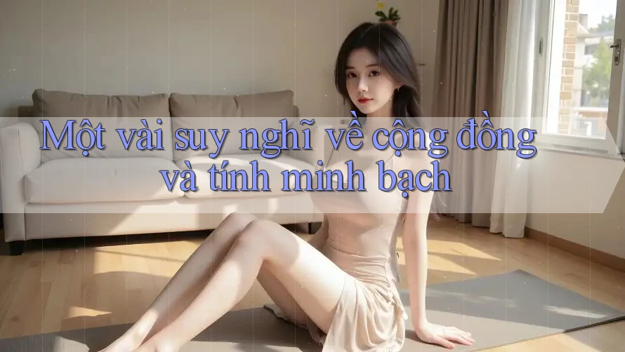Một vài suy nghĩ về cộng đồng và tính minh bạch
