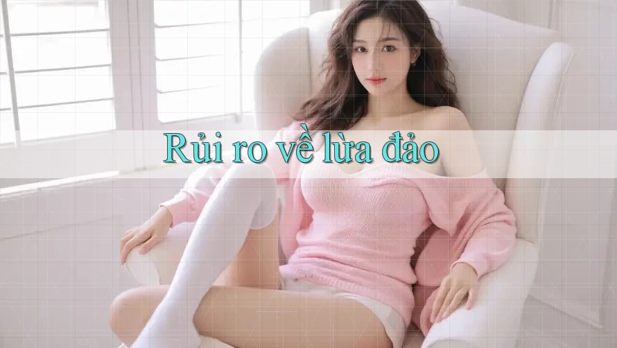 Rủi ro về lừa đảo
