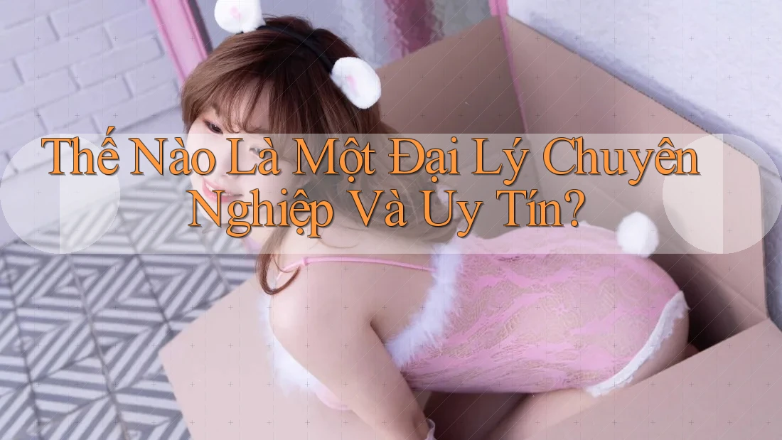 Thế Nào Là Một Đại Lý Chuyên Nghiệp Và Uy Tín? Thế Nào Là Một Đại Lý Chuyên Nghiệp Và Uy Tín?